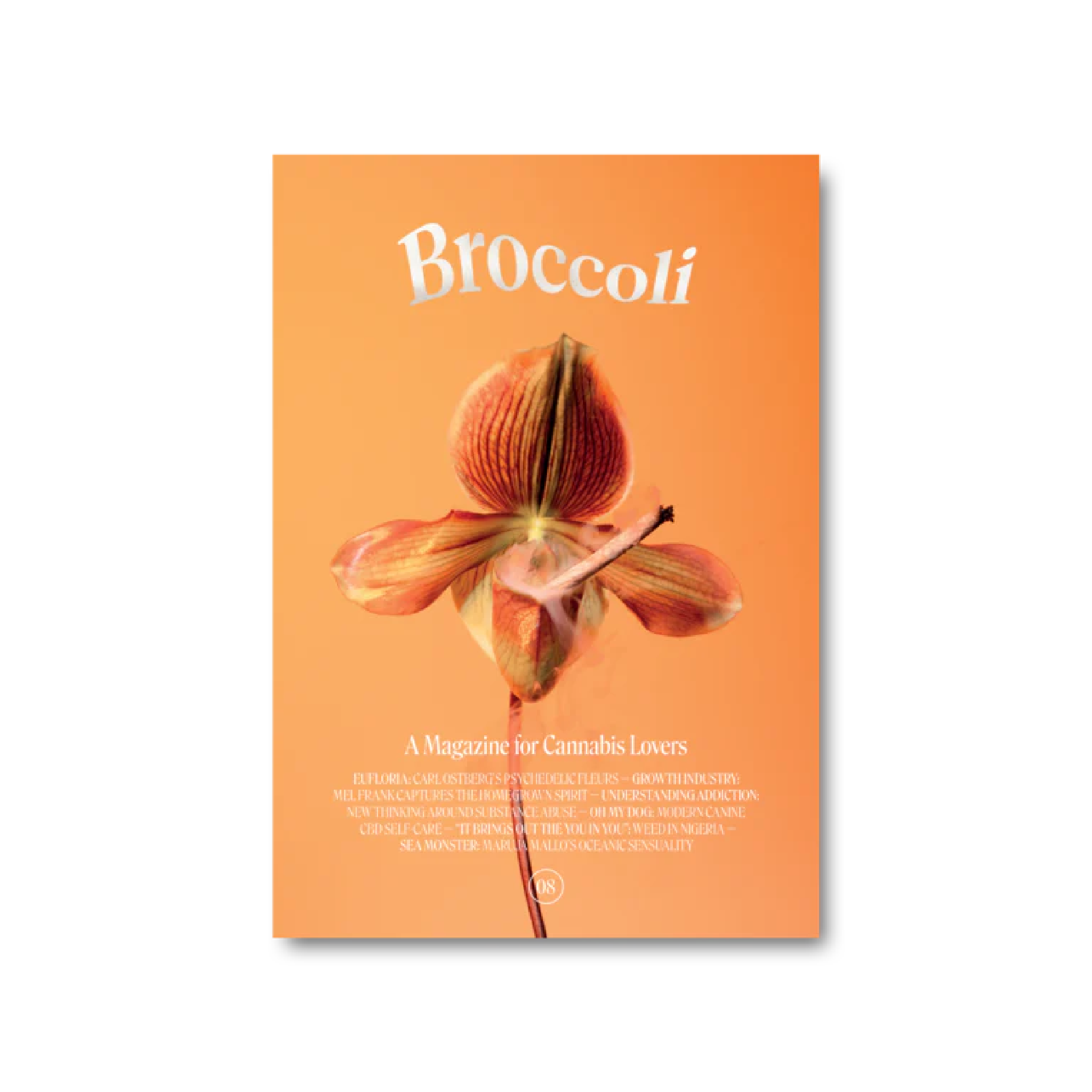 BROCCOLI MAGAZINE ISSUE 8