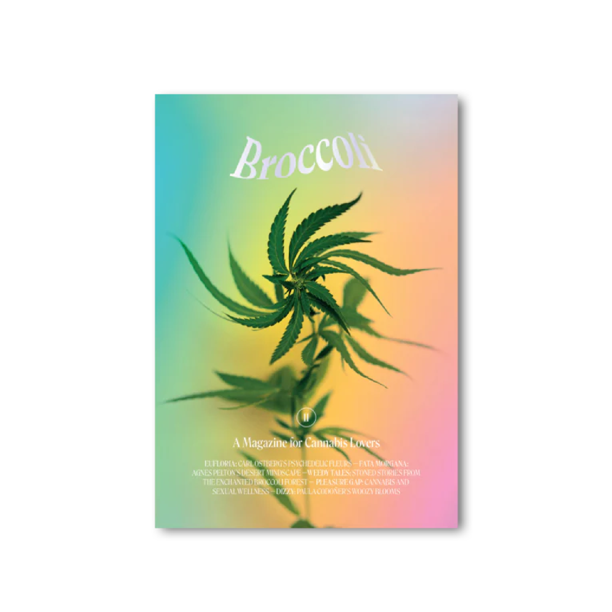 BROCCOLI MAGAZINE ISSUE 12